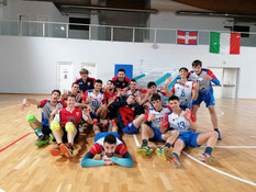 Serie D Ticino Group